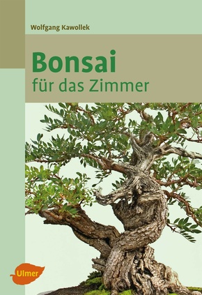 Bonsai für das Zimmer (eBook, ePUB)