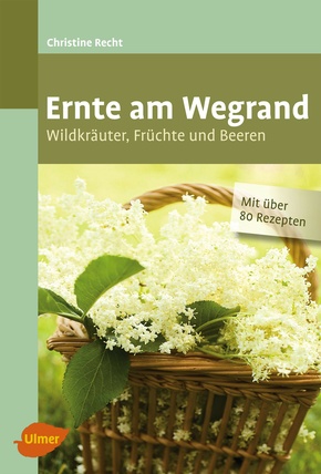 Ernte am Wegrand (eBook, PDF)