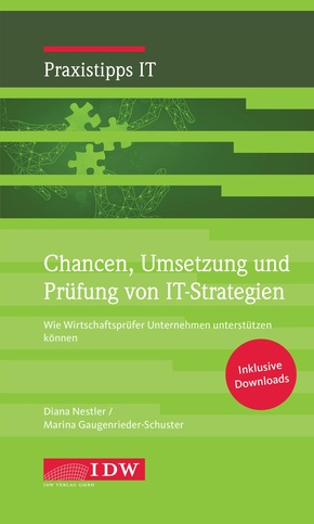 Chancen, Umsetzung und Prüfung von IT-Strategien