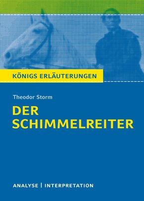 Der Schimmelreiter von Theodor Storm. (eBook, ePUB)