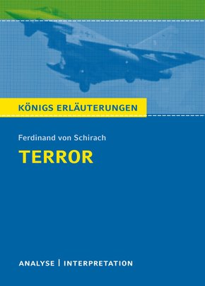 Terror. Königs Erläuterungen. (eBook, ePUB)
