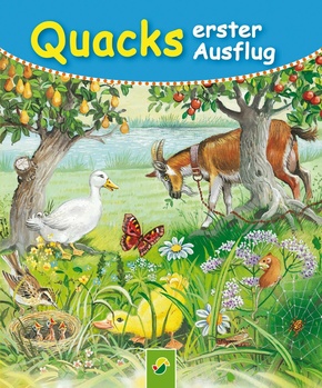 Quacks erster Ausflug (eBook, ePUB)