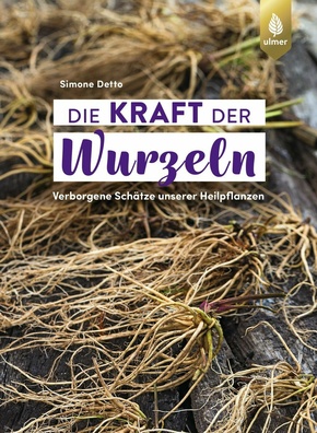 Die Kraft der Wurzeln (eBook, ePUB)
