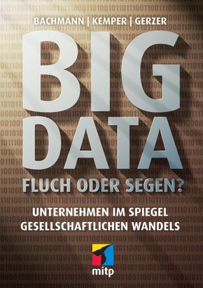 Big Data - Fluch oder Segen? (eBook, PDF)