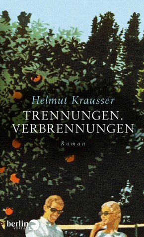 Trennungen. Verbrennungen (eBook, ePUB)