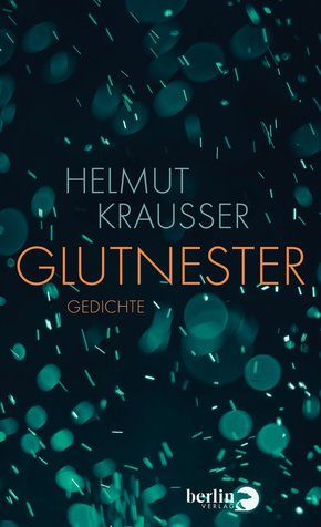 Glutnester (eBook, ePUB)