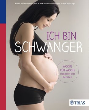 Ich bin schwanger (eBook, PDF)