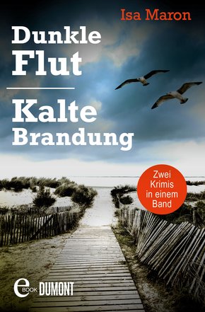 Dunkle Flut & Kalte Brandung (eBook, ePUB)