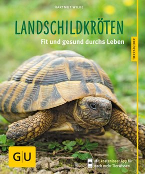 Landschildkröten (eBook, ePUB)