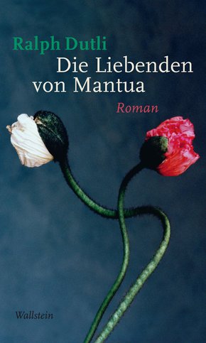 Die Liebenden von Mantua (eBook, PDF)
