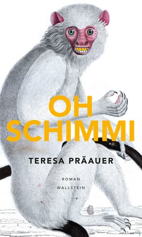 Oh Schimmi (eBook, PDF)