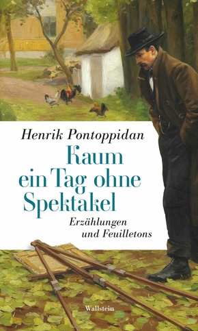 Kaum ein Tag ohne Spektakel (eBook, ePUB)