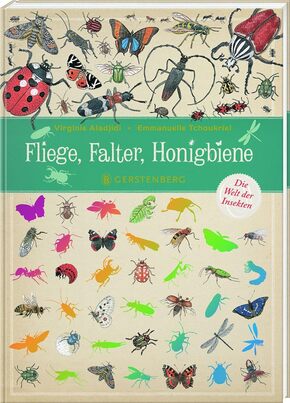 Fliege, Falter, Honigbiene - Die Welt der Insekten