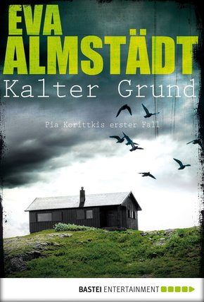 Kalter Grund (eBook, ePUB)