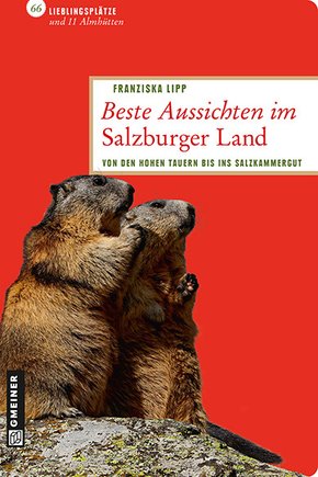 Beste Aussichten im Salzburger Land (eBook, PDF)