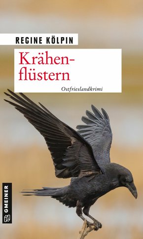 Krähenflüstern (eBook, PDF)