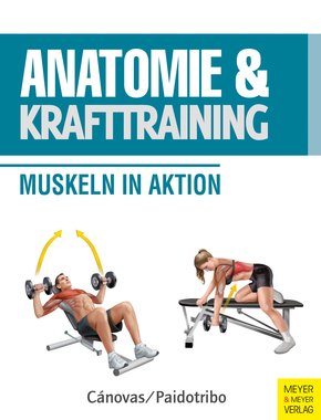 Anatomie & Krafttraining (eBook, ePUB)