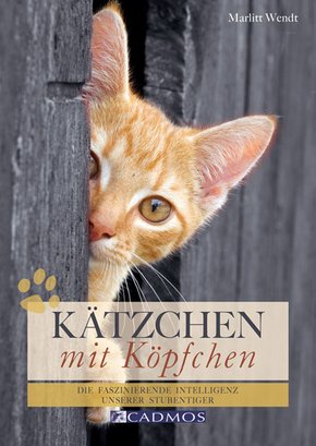 Kätzchen mit Köpfchen (eBook, ePUB)