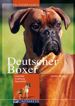 Deutscher Boxer (eBook, ePUB)