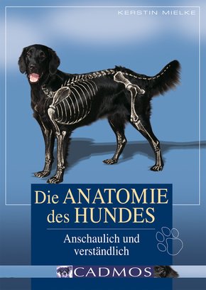 Die Anatomie des Hundes (eBook, ePUB)