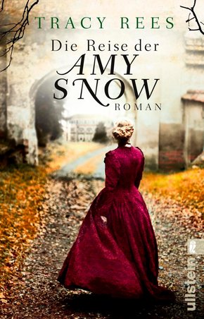 Die Reise der Amy Snow (eBook, ePUB)