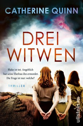 Drei Witwen (eBook, ePUB)
