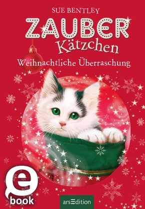 Zauberkätzchen - Weihnachtliche Überraschung (eBook, ePUB)
