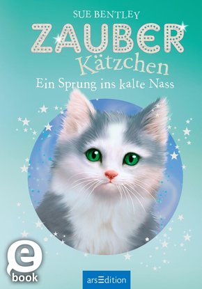 Zauberkätzchen - Ein Sprung ins kalte Nass (eBook, ePUB)