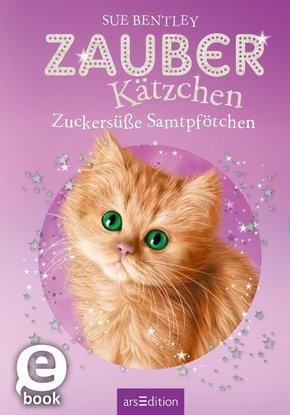 Zauberkätzchen - Zuckersüße Samtpfötchen (eBook, ePUB)