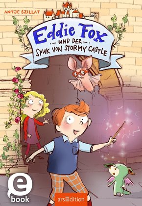 Eddie Fox und der Spuk von Stormy Castle (eBook, ePUB)