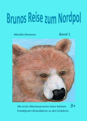 Brunos Reise zum Nordpol (eBook, ePUB)