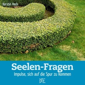 Seelen-Fragen (eBook, ePUB)