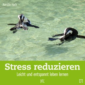 Stress reduzieren (eBook, ePUB)