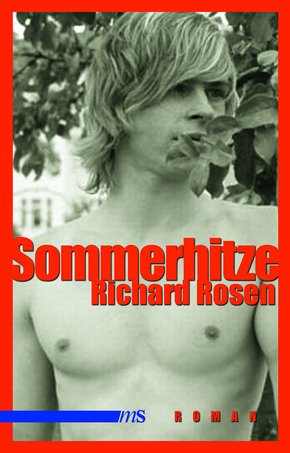 Sommerhitze (eBook, ePUB)
