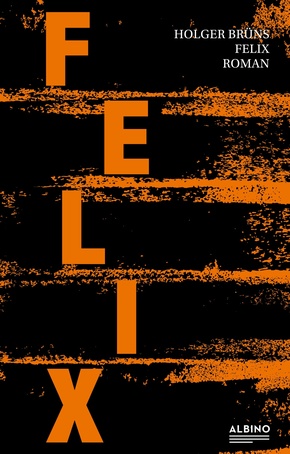 Felix (eBook, ePUB)
