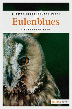 Eulenblues (eBook, ePUB)
