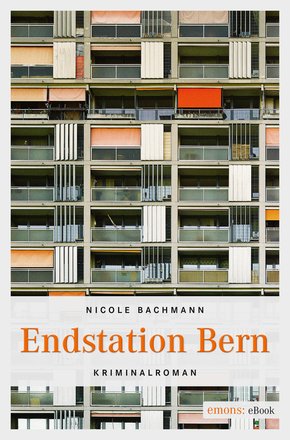Endstation Bern (eBook, ePUB)