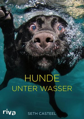 Hunde unter Wasser (eBook, PDF)