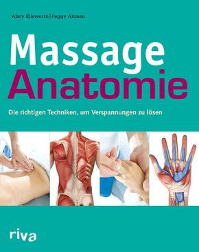 Massage-Anatomie (eBook, ePUB)
