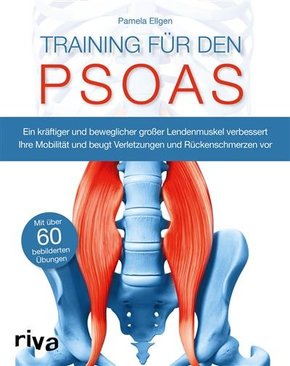 Training für den Psoas (eBook, ePUB)
