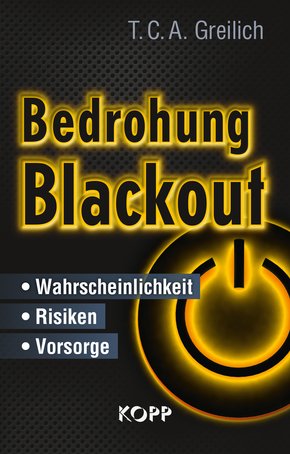 Bedrohung Blackout (eBook, ePUB)