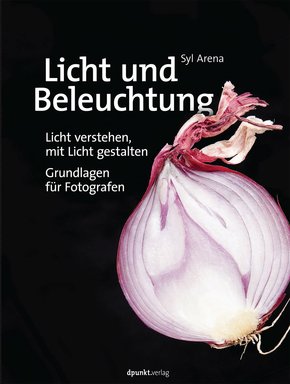 Licht und Beleuchtung (eBook, PDF)