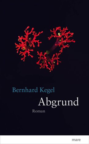 Abgrund (eBook, ePUB)