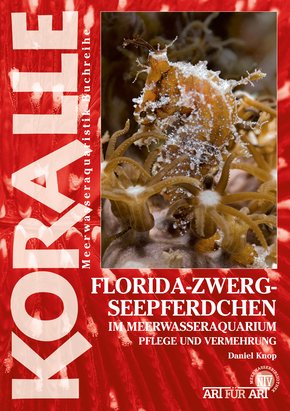 Florida-Zwergseepferdchen im Meerwasseraquarium (eBook, ePUB)
