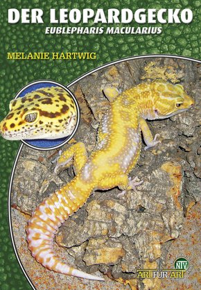 Der Leopardgecko (eBook, ePUB)