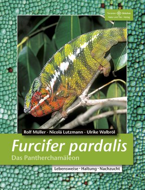 Furcifer pardalis (eBook, ePUB)