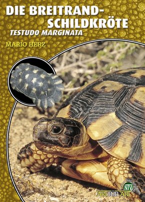 Die Breitrandschildkröte (eBook, ePUB)