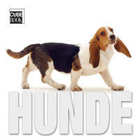 Hunde