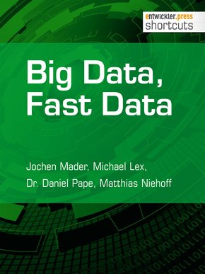 Big Data, Fast Data (eBook, ePUB)