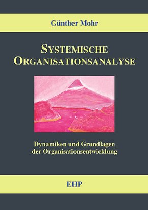 Systemische Organisationsanalyse